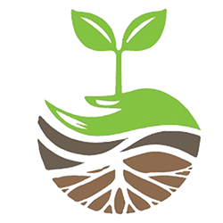 Preview image published by growvera.app